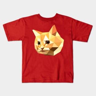 Ginger Cat Pet Portrait Polygonal Style Animal Kids T-Shirt